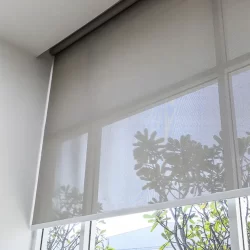 Sunscreen blinds partially rolled down on a window, allowing filtered sunlight to enter